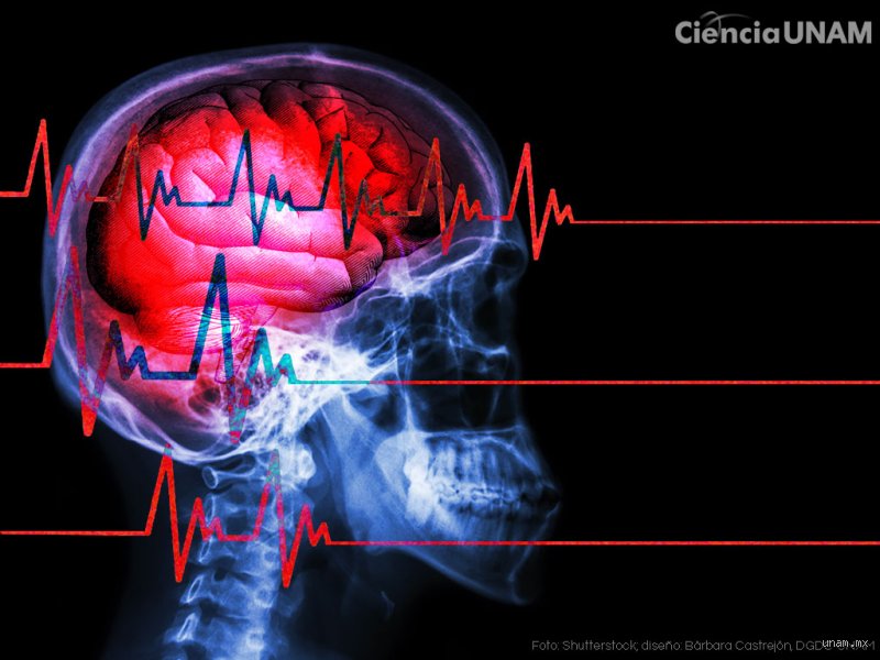 ¿Cuando el daño cerebral es irreversible?