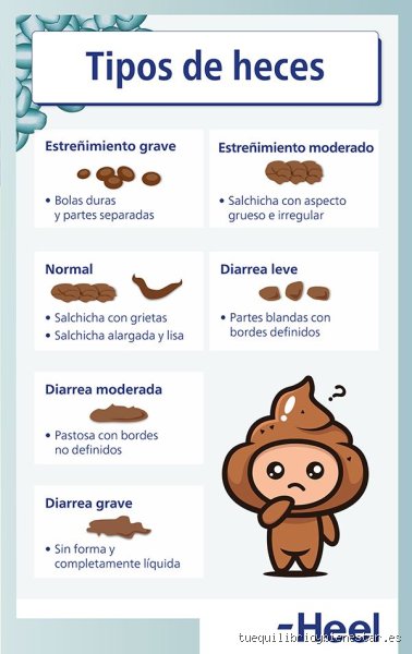¿Cuántas veces va al baño una persona con diarrea?