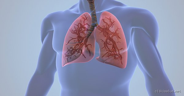 ¿Desaparecerá la inflamación en los pulmones por sí sola?