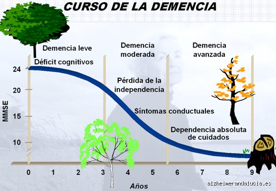 ¿Deterioro cognitivo cómo evoluciona?