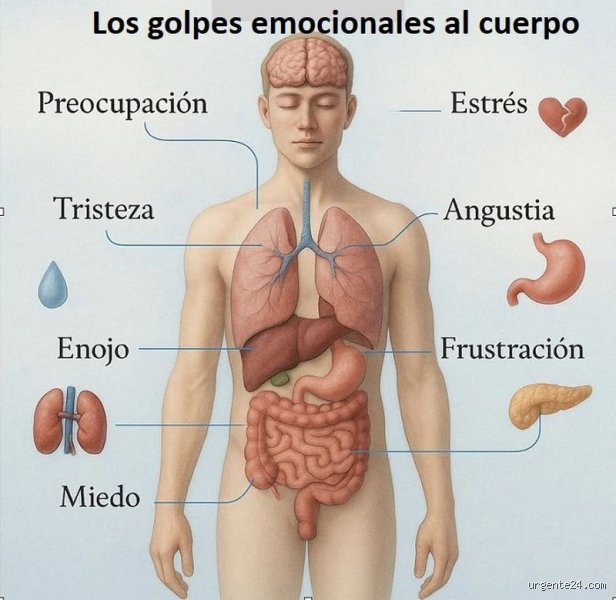 ¿Dónde se acumula la tristeza en el cuerpo?