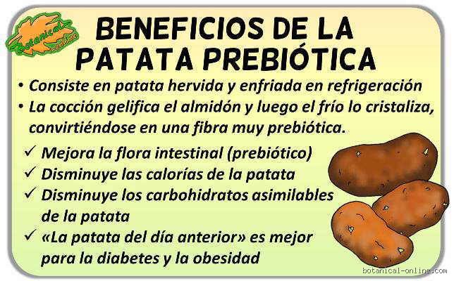 ¿La patata cocida es buena para la diarrea?