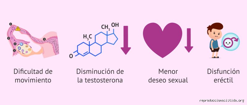 ¿Puede el esperma de un hombre afectar al niño si el hombre consume drogas?