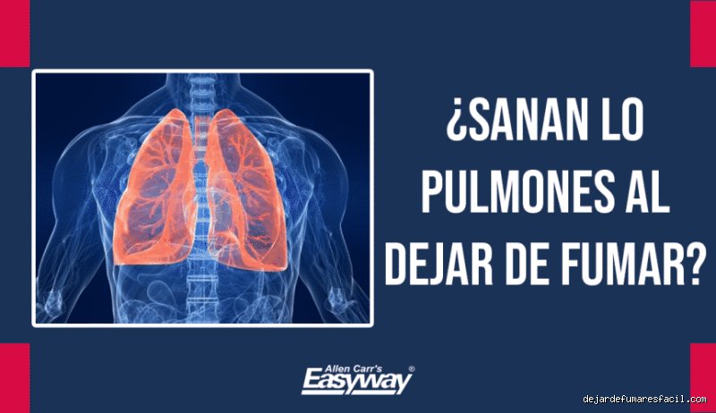 ¿Pueden los pulmones recuperarse al 100% del tabaquismo?