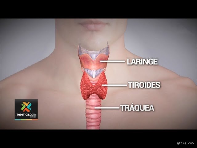 ¿Se puede vivir sin que funcione la tiroides?