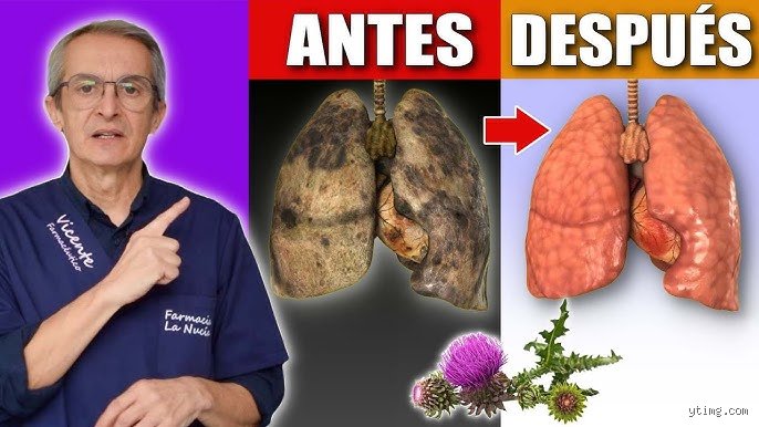 ¿Se pueden curar los pulmones dañados?