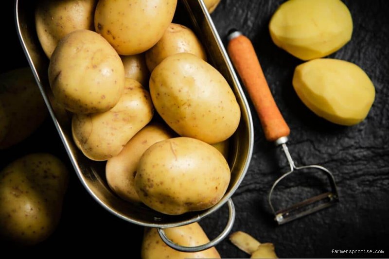 ¿Son las patatas aptas para pacientes cardíacos?
