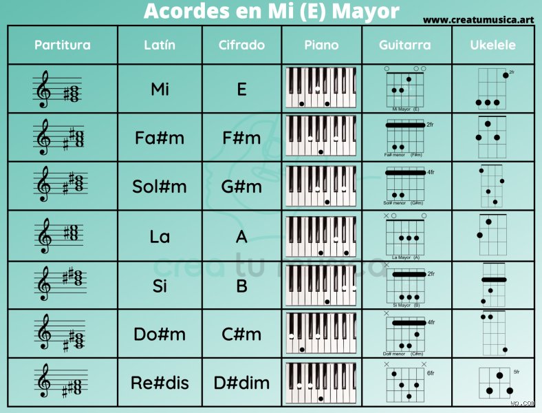 ¿Cómo puedo saber mi escala?