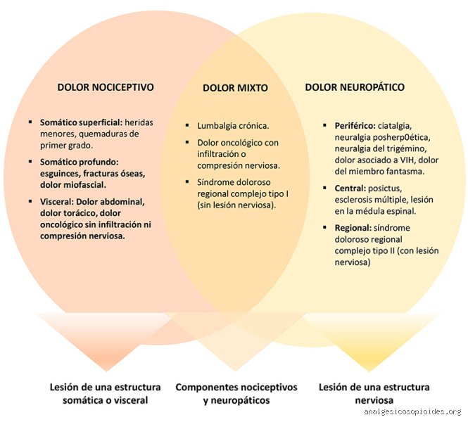 ¿Cuáles son los 3 tipos de dolor?