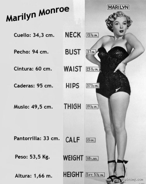 ¿Cuál era la talla de sujetador de Marilyn Monroe?