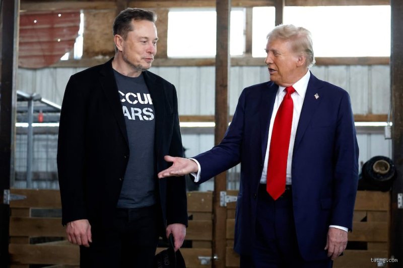 ¿Cuál es el peso y la altura de Elon?