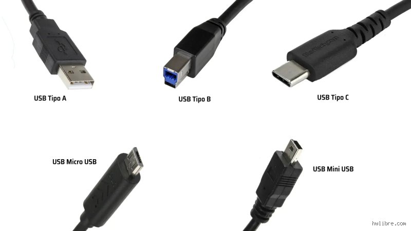 ¿Cuáles son los tres tipos de entradas?