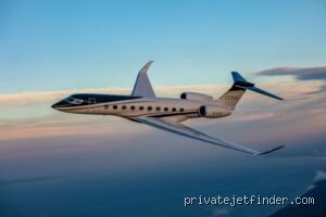 ¿Cuántos jet privados tiene Elon Musk?