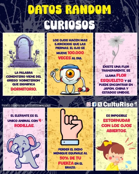 ¿Qué datos curiosos hay?