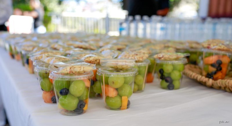¿Se puede llevar comida a la cooperativa en directo?