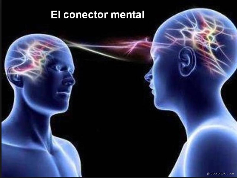 ¿Cómo se llama la teoría de que todos estamos conectados?