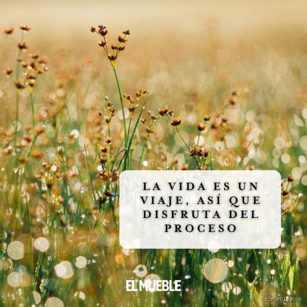 ¿Cuál es una hermosa frase sobre la vida?