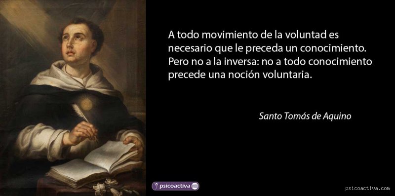 ¿Cuáles son algunas frases memorables del evangelio de Santo Tomás?