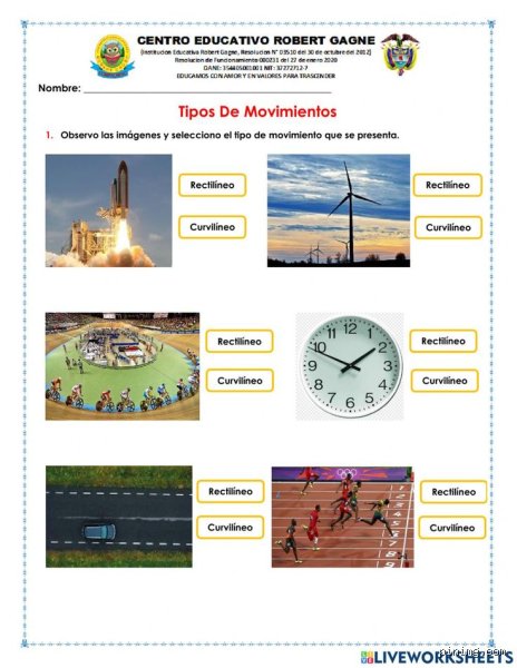¿Cuáles son los 7 tipos de movimiento?