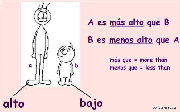 ¿BB es más alto que B?
