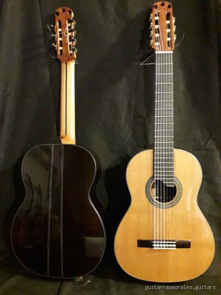 ¿Cómo se llama la guitarra que tiene 7 cuerdas?