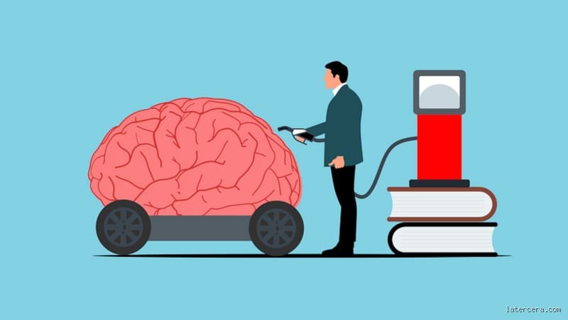 ¿Cuál es el combustible favorito del cerebro?