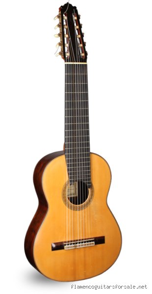 ¿Guitarra con 10 cuerdas cómo se llama?
