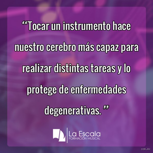¿Hay que ser inteligente para aprender a tocar un instrumento?