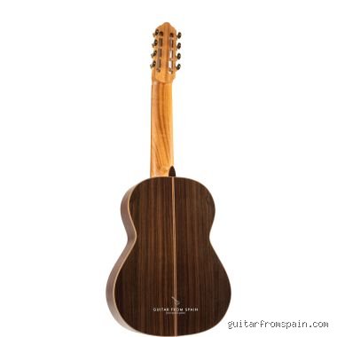 ¿Son las guitarras de 7 cuerdas aptas para principiantes?