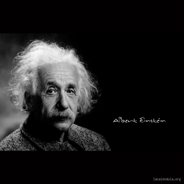 ¿Albert Einstein una vez dijo?