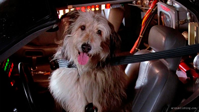 ¿Cómo se llamaba el perro de Einstein?