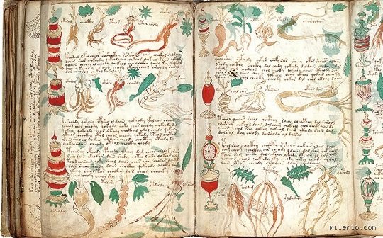 ¿Cuál es el libro más raro del mundo?