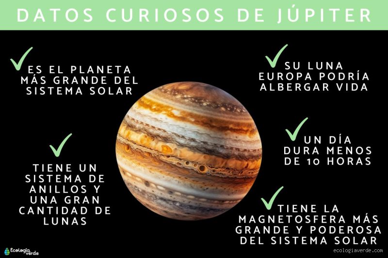 ¿Cuáles son las curiosidades más raras del mundo?