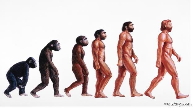 ¿Dónde existió el primer humano?