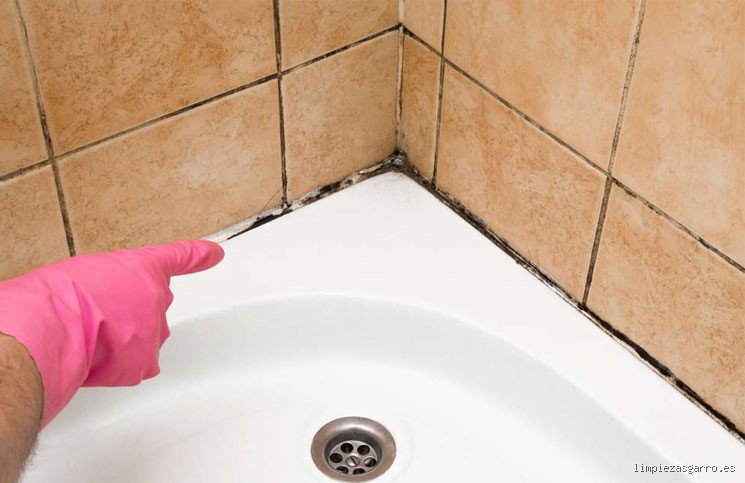 ¿Cómo quitar lo negro de las juntas del baño?