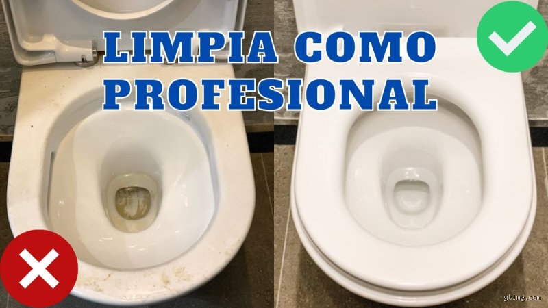 ¿Cómo recuperar el blanco del inodoro?