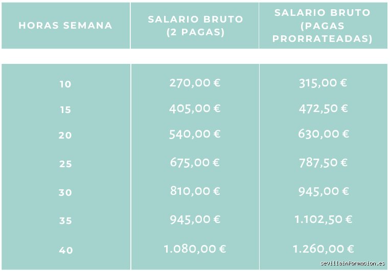 ¿Cuánto se cobra por 20h en España?