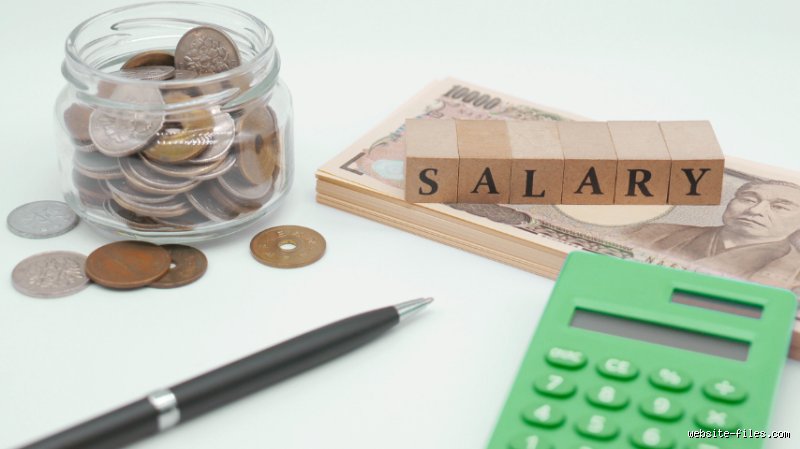 ¿Es un buen salario 20.000 dólares al año?