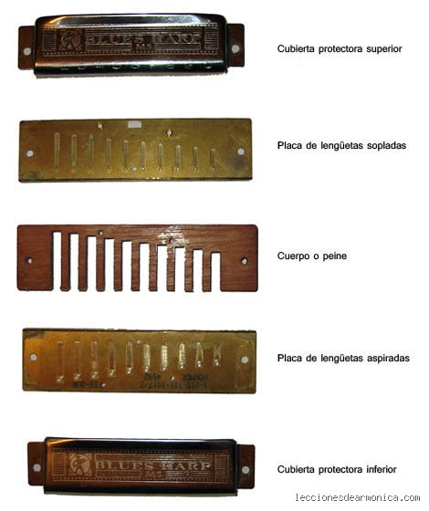 ¿Cómo se le llama al que toca la armónica?