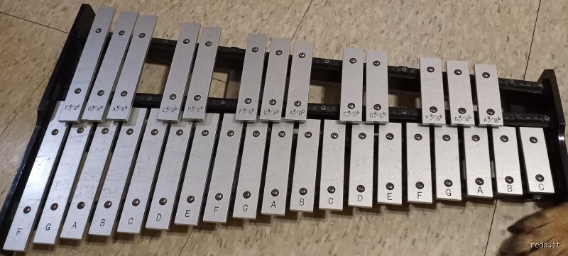 ¿Cómo se llama el instrumento que se parece al xilófono?