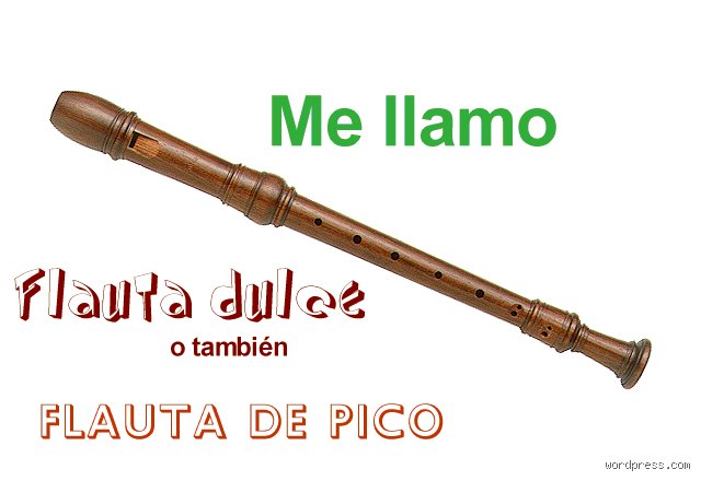 ¿Cómo se llama una flauta para principiantes?
