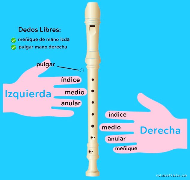 ¿Cuál es el instrumento más fácil para pasar de la flauta?