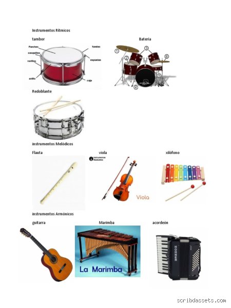¿Cuáles son 10 instrumentos armónicos?