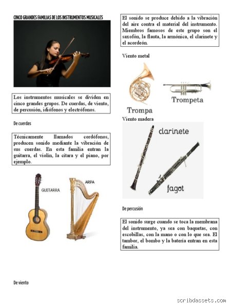 ¿Cuáles son los 5 grandes instrumentos?
