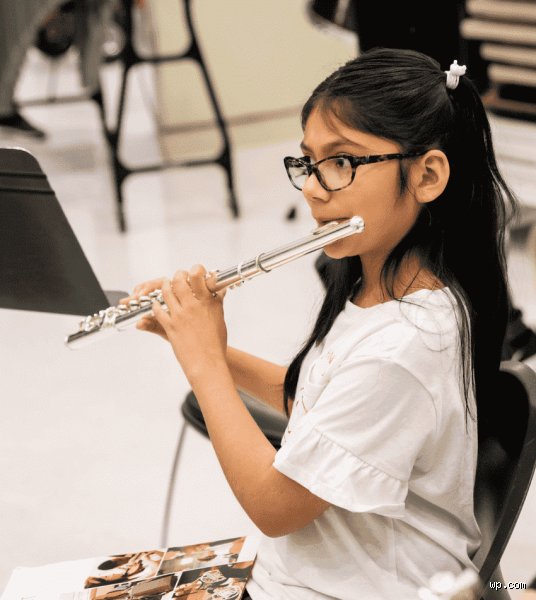¿Cuáles son los mejores instrumentos musicales para principiantes?