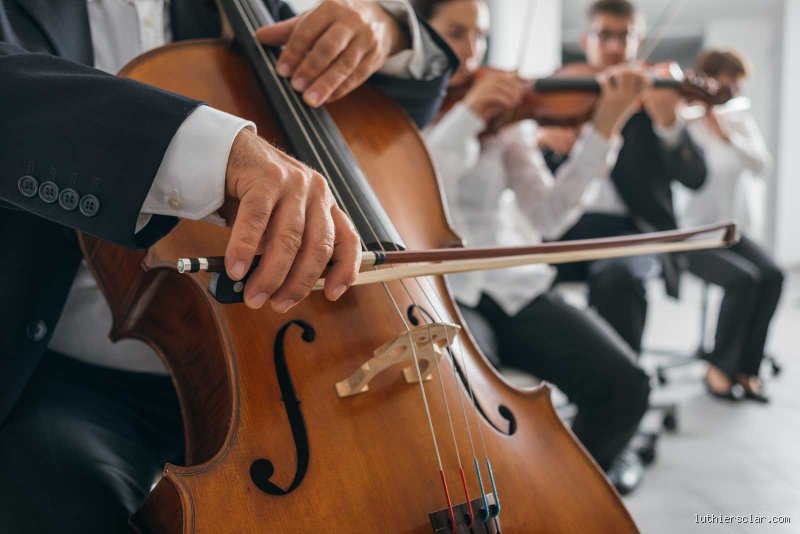¿Cuánto cuesta aprender a tocar el violonchelo?