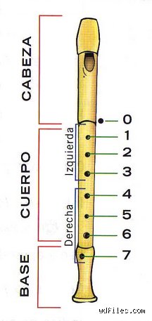 ¿Cuántos agujeros tiene una flauta normal?