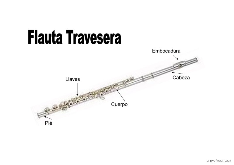 ¿Cuántos orificios tiene la flauta traversa?