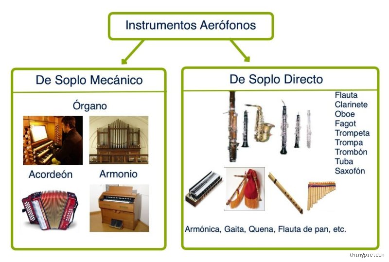 ¿Es el acordeón un idiófono?