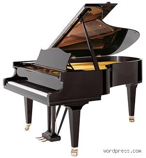 ¿Es el piano un cordófono?